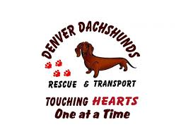We did not find results for: Pets For Adoption At Denver Dachshunds Rescue And Transport In Aurora Co Petfinder