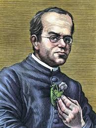 Gregor Mendel, Austrian Botanist