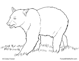 Happy birthday black and white cute. Forest Wildlife Art Coloring Book Page For Kids Black Bear Bear Coloring Pages Animal Coloring Pages Monster Coloring Pages