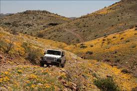 The bureau of land management is an agency within the united states department of the interior responsible for administering federal lands. Arizona Bureau Of Land Management Information Center Phoenix Az 85004