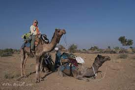 Camel safari, india travel packagein the thar the camel's the best ride ever. Camel Safari Jaisalmer Not So Mystical In Rajasthan The Planet D