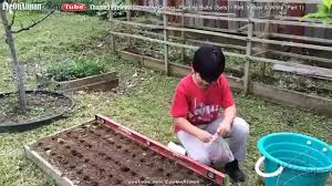 Those categories are based on latitude. Planting Onion Bulbs Red Yellow White P1 Backyard Organic Gardening Made Easy Fun By Aiman Youtube