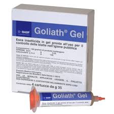 Check spelling or type a new query. Pourquoi Des Blattes Dans Une Maison