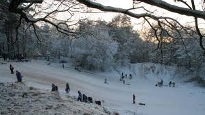 Maybe you would like to learn more about one of these? De Leemkule