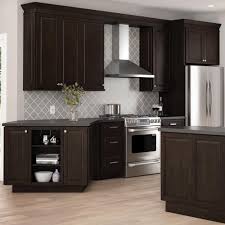 Read our reviews of home depot cabinets and whether they are worth the money. Select 36 In H 2 Door Base Cabinet With Drawer In Espresso Hampton Bay Office Products Utility Cabinets Guardebem Com