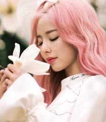 Understanding Character Dynamics in Homestuck