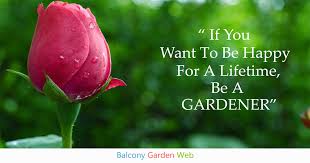 Many gardening quotes reflect deep affinity people have for this activity. 47 Beautiful Garden Quotes Balcony Garden Web