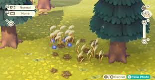 The recipe for this item can be obtained from nook miles redemption. How To Use Clump Of Weeds Should You Pick Weeds Acnh Animal Crossing New Horizons Switch Game8