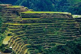 Interview With Franceso Bandarin Director Unesco World Heritage Asla Org Best cultural landscape examples from what are some examples of cultural landscapes.