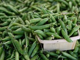 When can babies eat snap peas? Sweet And Crunchy Snap Peas Are In Season Eat Them Like This Organic Authority