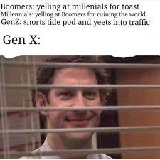 Most are from tiktok or super dank memes. Gen X Memes For Anyone Delighting In The Boomer Millennial Feud
