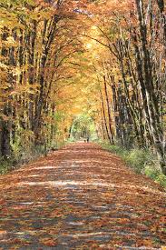 Start your search now and free your phone. Free Wallpapers Rails To Trails Conservancy