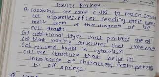 Maybe you would like to learn more about one of these? Which Of The Following Is Not A Function Of Cell Wall