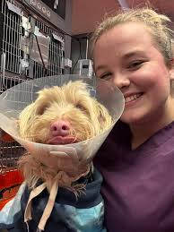 Perfil de Clinique vétérinaire Oncovet