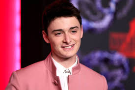 Doja Cat calls out Noah Schnapp for sharing Joseph Quinn DMs