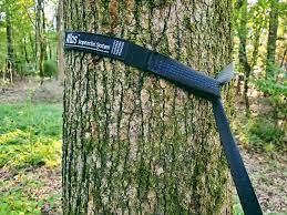 Learn from my mistakes and look for the happiest and healthiest species of strong trees for your hammock needs. 5 Best Hammock Tree Straps In 2021 99boulders