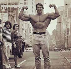 Arnold alois schwarzenegger was born on 30th july 1947, in the austrian village of thal near graz. Arnold Schwarzenegger Bio Net Worth Wife Age Height Wiki Imdb Biogr Arnold Schwarzenegger Bodybuilding Schwarzenegger Bodybuilding Arnold Schwarzenegger