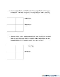 State your hypothesis about the inheritance of stem color. Monohybrid Cross Practice Worksheet