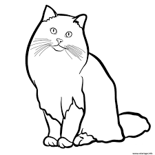 Coloriage Ragdoll Est Un Caht Originaire Des Etats Unis Dessin Chat A Imprimer