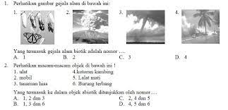 Soal gejala alam biotik dan abiotik. Soal Ukk Ipa Smp Kelas 7 Kurikulum 2006 Didno76 Com