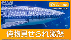 テレ朝news