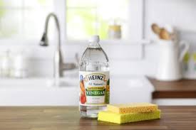 Image result for à´µà´¿à´¨à´¾à´à´¿à´°à´¿