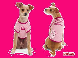 Petco Star Wars Princess Leia Dog Tee T Shirt Pink Stormtrooper Small Pet Fans S 800443928110 Ebay