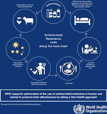 We did not find results for: Current Accounts Of Antimicrobial Resistance Stabilisation Individualisation And Antibiotics As Infrastructure Humanities And Social Sciences Communications