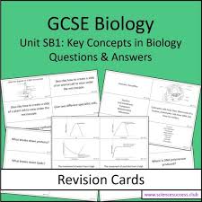Puberty and the menstural cycle. Gcse Biology Revision Cards Sb1 Science Success