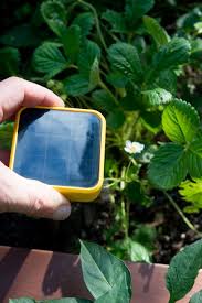 Garden Gadgets The Solar Powered Edyn Sensor Is Now Monitoring Our Raised Beds The Horticult Garden Gadgets Solar Power Diy Solar Power Kits