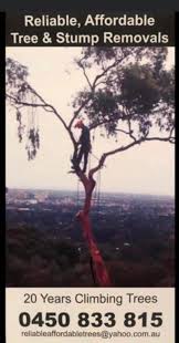 Reliable, Affordable Tree and Stump Removals at West Hindmarsh