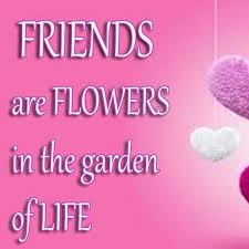 Aug 04, 2020 · the flowers appear during the spring or summer, depending on the species, and the flowers are clusters of white blossoms, which don't make good cut flowers. Friends Are Flowers In The Garden Of Life Home Facebook