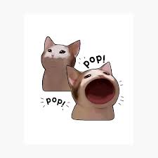 Nov 24, 2020 · the perfect pop cat animated gif for your conversation. Funny Pop Cat Meme Photographic Print By Quackynaut Redbubble