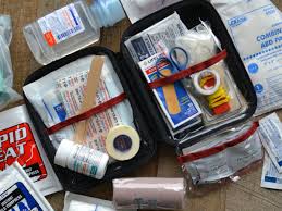 100 person, 3 shelf stations. 18 Essential Items That Should Be In Every First Aid Kit Purple Clover