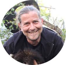 Tierschutz: Welche Verantwortung haben Leopardgecko-Halter?