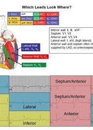 clinical references archives cardiovascular nursing