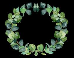 Which is the best illustration of eucalyptus leaves? Eucalyptus Leaves Floral Wreath Png Greenery Clipart By Inna Lytvynchuk Thehungryjpeg Com