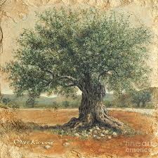 Ancient Olive Tree By Miki Karni Olive Tree Painting Olive Tree Tree Sketches