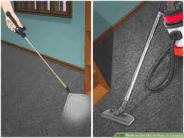 Use the nozzle attachment instead of just pushing the vacuum cleaner. Top 10 Tips On How To Get Rid Of Fleas In House Lovemydl