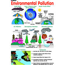 Chart No 173 Environmental Pollution