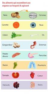 Voici Les Aliments Qui Ressemblent Aux Organes Pour Lesquels Ils Sont Benefiques Diet And Nutrition Proper Nutrition Holistic Nutrition