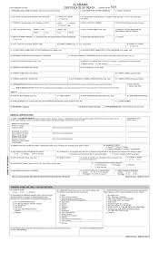 Keywords relevant to birth certificate editor form. Fake Death Certificate Maker India Fake Death Certificate For Fun