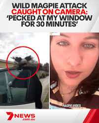 Here's what she wants people to know after suggestions she could be to  blame. 📌 MORE: 7news.link/46ErPGw