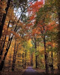 Maybe you would like to learn more about one of these? Glacier Ridge Metro Parks Central Ohio Park System