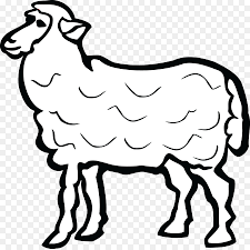 Kumpulan gambar kartun kambing hitam putih nggak tabuh lagi jika media sosial di zaman saat ini sudah kerap digunakan untuk alat komunikasi gambar kambing etawa warna putih. Kambing Domba Suffolk Kambing Hitam Gambar Png