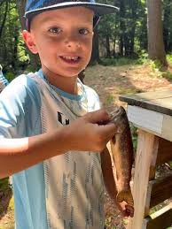 Brook Trout, Salvelinus fontinalis