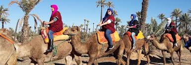 Marrakech stone desert, palm groves & wadis. Marrakech Palm Grove Camel Ride Book Online At Civitatis Com