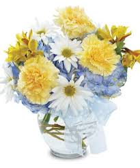 Maybe you would like to learn more about one of these? Baby Blossoms Boy New Baby Flowers Get Well Flowers New Baby Products