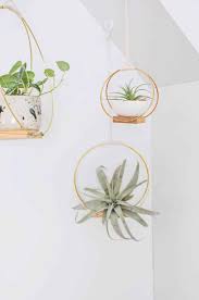 Hanging round wall planter indoor, round planter, wall hanging planter, hanging terrarium, wall decor, wall vase, air plant holder florarium. Diy Indoor Hanging Planters That Add Style To Your Space The Garden Glove