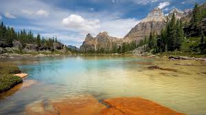 Landscape Wallpaper Hd Data Src Hd Desktop Background Landscape 1920x1080 Wallpaper Teahub Io